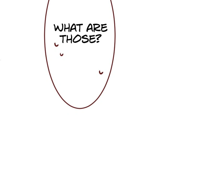 66117326 800 697 13924